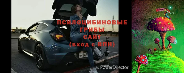 ПСИЛОЦИБИНОВЫЕ ГРИБЫ Нефтегорск
