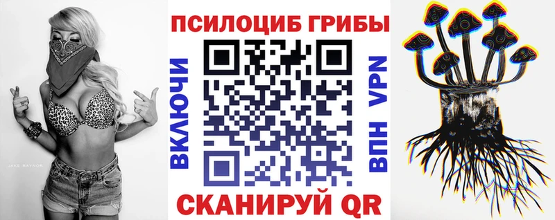Псилоцибиновые грибы GOLDEN TEACHER  купить   Новопавловск 